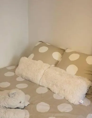 App Cozy En Plein Coeur De * パリ